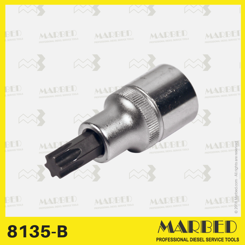 Bussola 1/2 per Torx 50