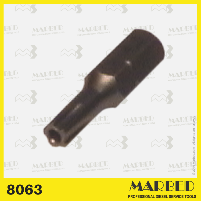 Bit for the governor control cover screw on DP2100 pumps.
Similar to 7244-438.